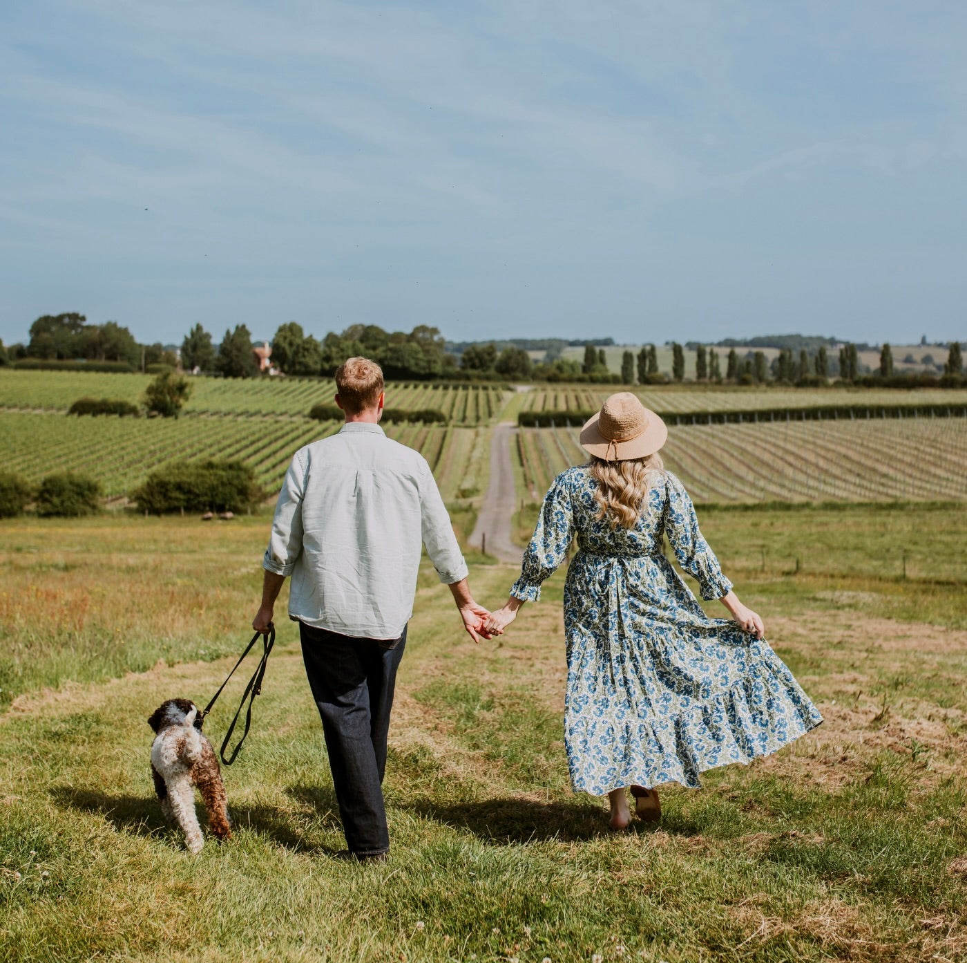 Man and woman walking a dog in a field with vineyards in the background